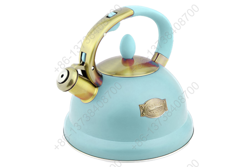 3L Stainless Steel Whistling Tea Kettle,Cool Touch Ergonomic Handle,Unique Button Control