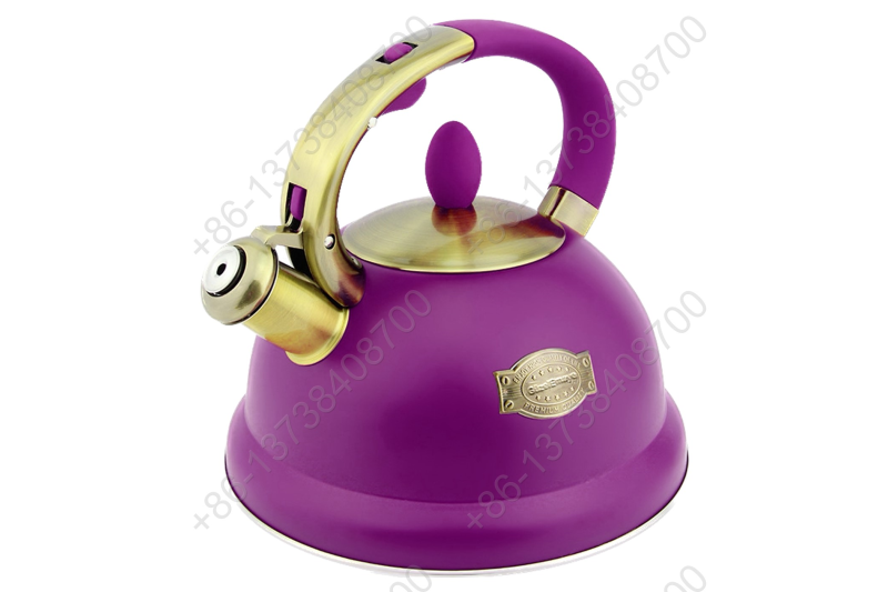 3L Stainless Steel Whistling Tea Kettle,Cool Touch Ergonomic Handle,Unique Button Control