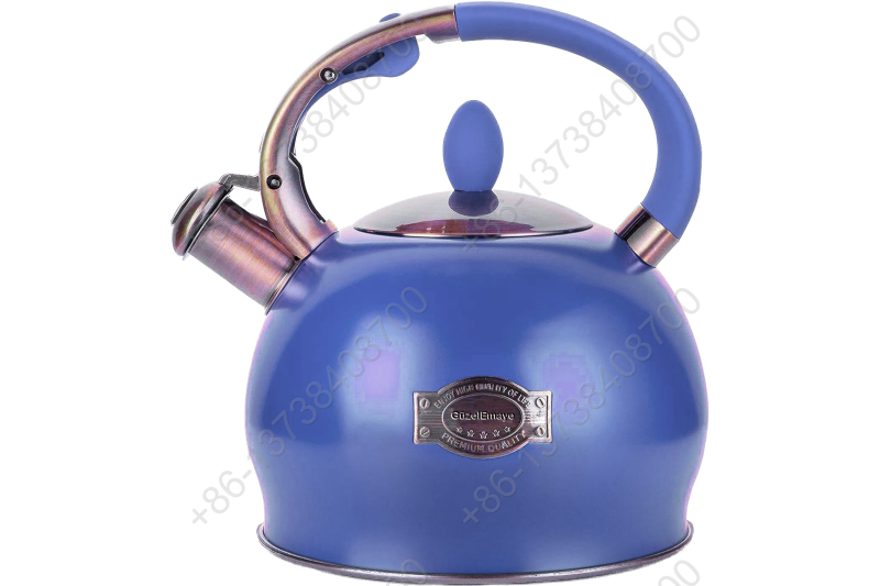 3L Stainless Steel Whistling Tea Kettle,Cool Touch Ergonomic Handle,Unique Button Control